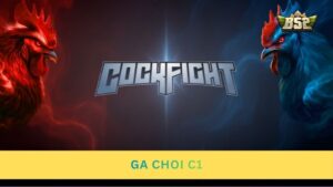 Gà chọi C1 là gì? Tiêu chuẩn chọn gà C1 & kinh nghiệm cược
