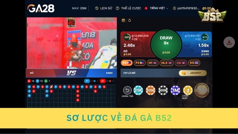 Sơ lược về đá gà B52