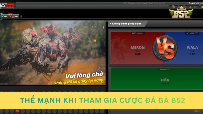 Thế mạnh khi tham gia cược đá gà trực tuyến B52
