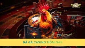 Đá gà casino hôm nay – Trực tiếp các trận cầu nghẹt thở nhất