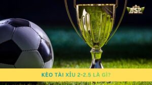 Kèo tài xỉu 2-2.5 là gì? Bí kíp cược kèo O/U 2.25 hiệu quả