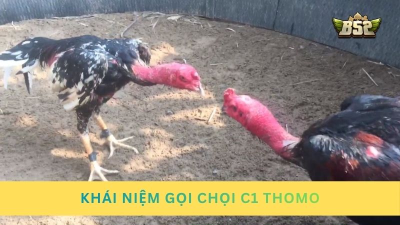 Khái niệm gọi chọi C1 Thomo