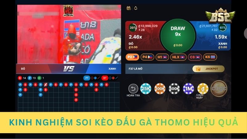 Kinh nghiệm soi kèo đấu gà Thomo hiệu quả