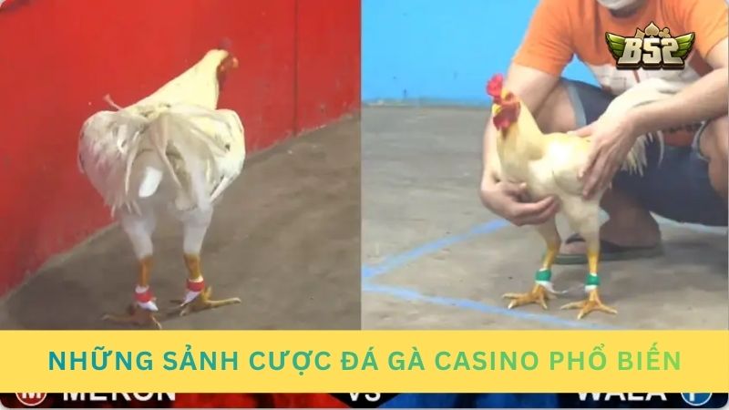 Những sảnh cược đá gà casino phổ biến nhất hôm nay